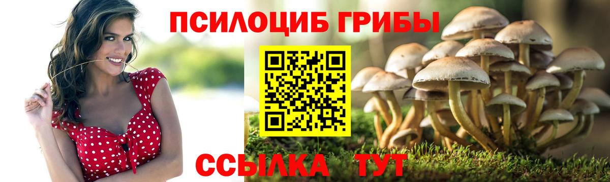 Псилоцибиновые грибы Magic Shrooms  Вход с VPN  Тосно 